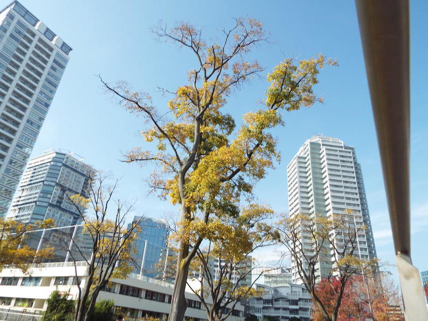 横浜キャンパス風景