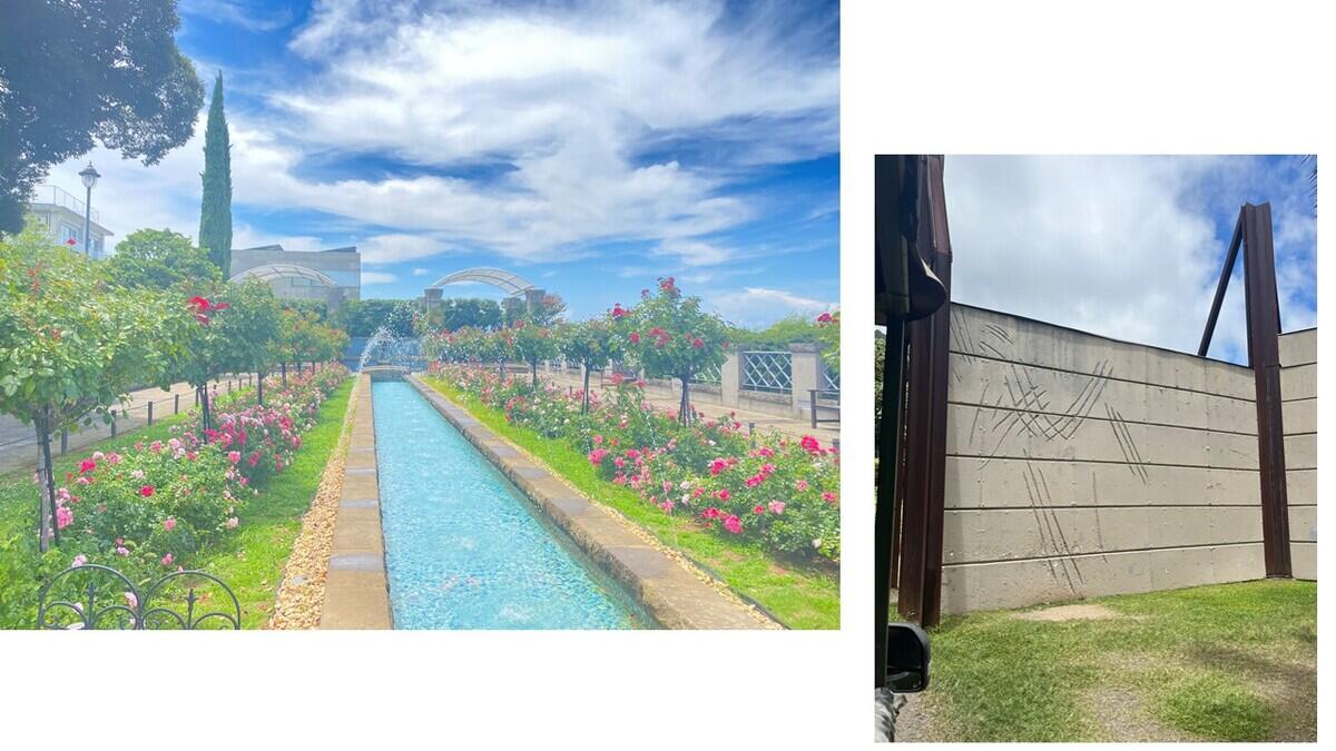 生徒が撮影した写真