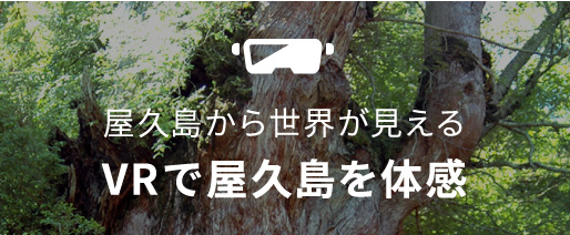 屋久島から世界が見える VRで屋久島を体感