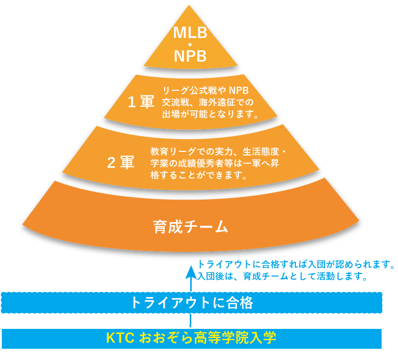 兵庫ブルーサンダーズとの教育提携内容