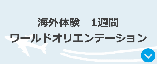 ワールドオリエンテーション