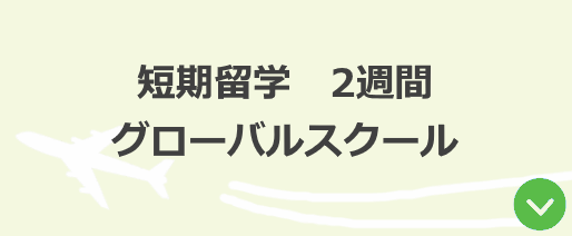 グローバルスクール