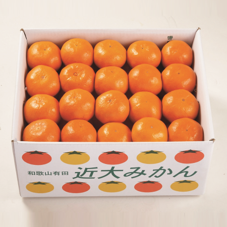 近大みかん