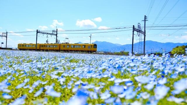 ②30996126_s.jpg