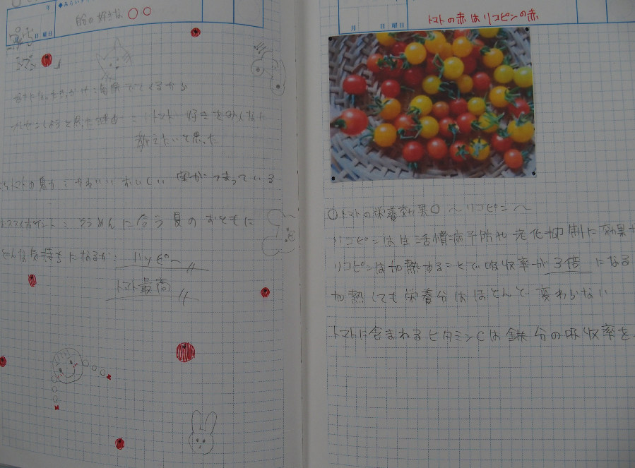 好きな を調べよう ちょっと見せて Ktcみらいノート Ktcみらいノート おおぞらの魅力 おおぞら高等学院 おおぞら高校